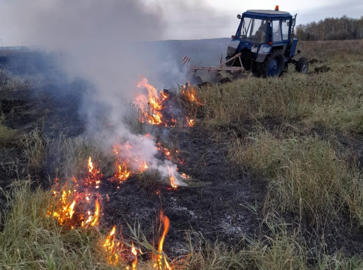 Фото Беспамятных Андрей. Тушение возгораний вблизи Мостовского продолжили и 3 октября.